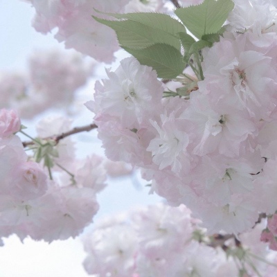 兽设火山场景创作兽圈社群